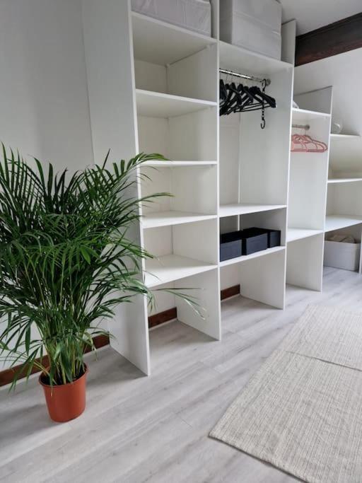 Grande Maison En Bords De Marne - 25 Min De Paris Creteil Ngoại thất bức ảnh