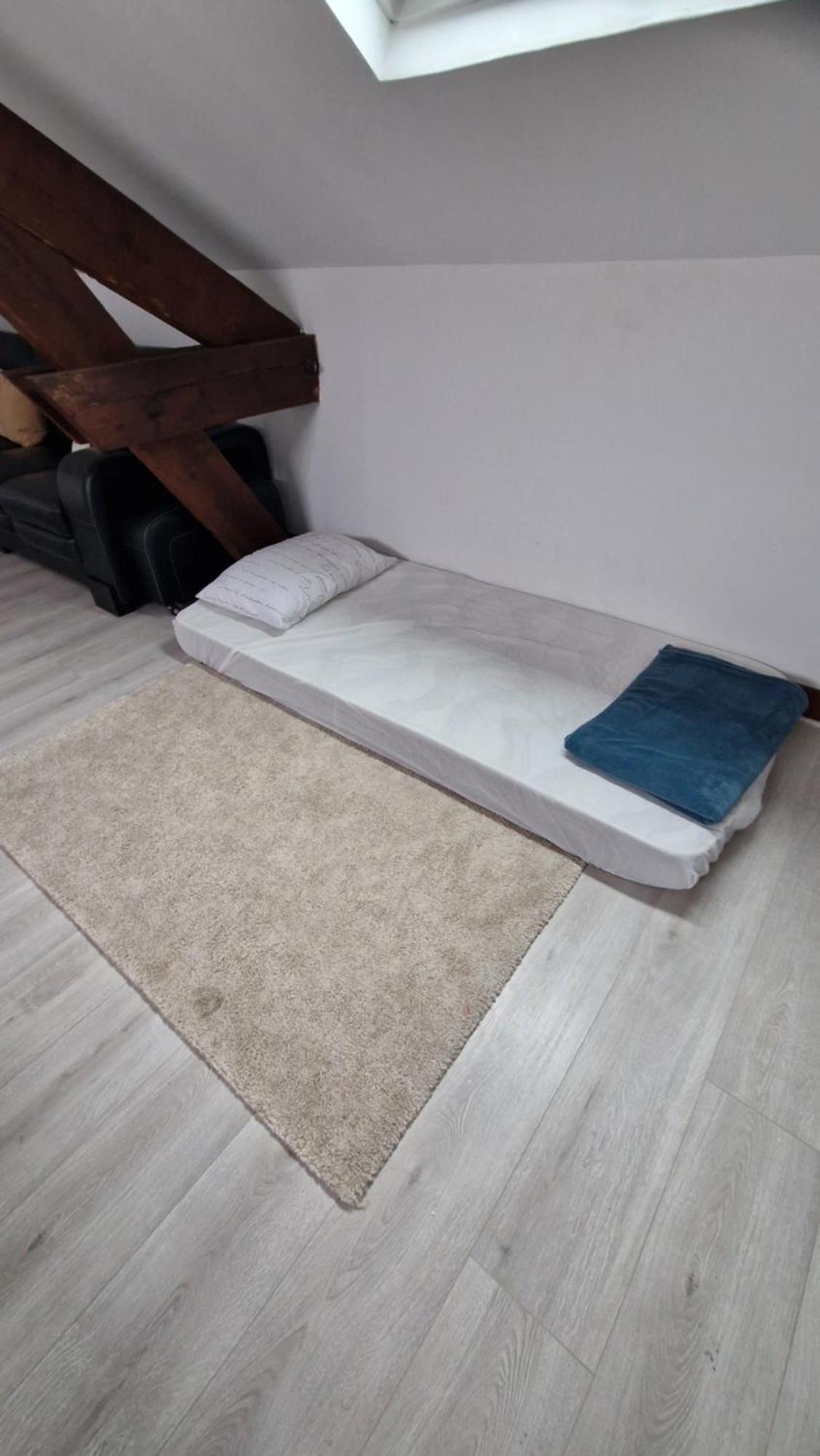 Grande Maison En Bords De Marne - 25 Min De Paris Creteil Ngoại thất bức ảnh